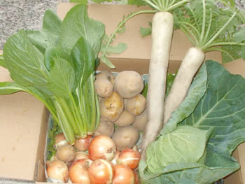 vegetables_s.jpg